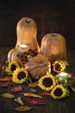 Sonbahar sakin bir hayat. 