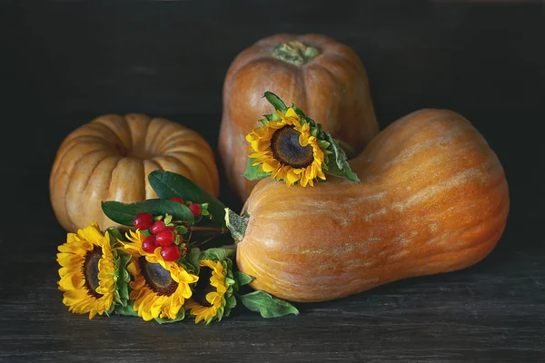 Autunno natura morta . — Foto Stock