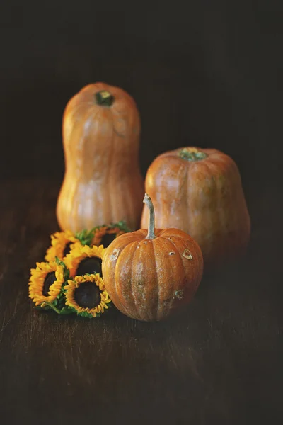 Autumn still life. — Stock Photo, Image