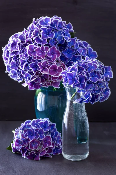 蓝色花瓶里美丽的紫色绣花花 — 图库照片