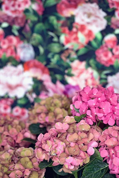 Delicata Disposizione Floreale Composizione Floreale Primo Piano Con Fiori Rosa — Foto Stock