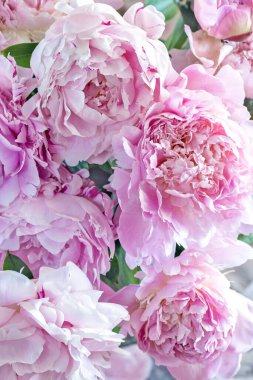 Masadaki cam vazoda zarif pembe şakayık çiçekleri..