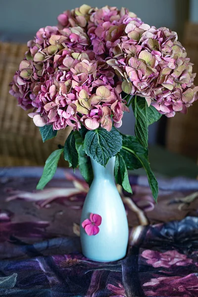 Belas Flores Hortênsia Roxas Vaso Uma Mesa Foco Suave — Fotografia de Stock