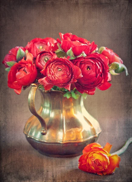 Red ranunculus flowers — Stock Photo, Image