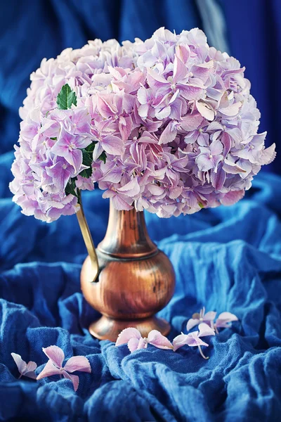 Blüten der rosa Hortensie — Stockfoto