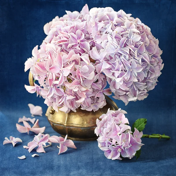 Roze hortensia bloemen — Stockfoto