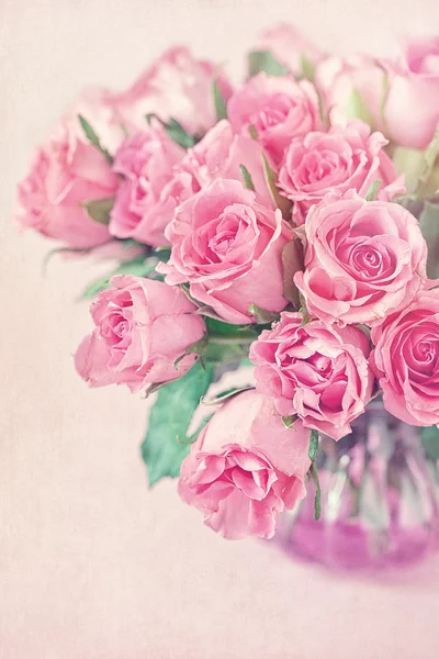 美しいバラの花 — ストック写真