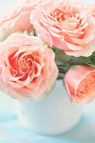 Όμορφα, ολόφρεσκα τριαντάφυλλα — Φωτογραφία Αρχείου