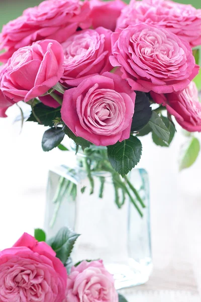 Roze rozen — Stockfoto