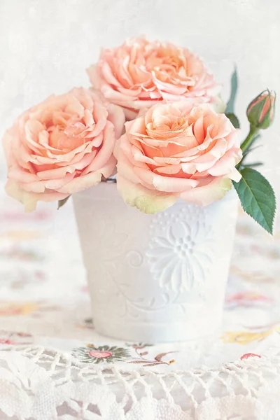 Schöne rosa Rosen — Stockfoto