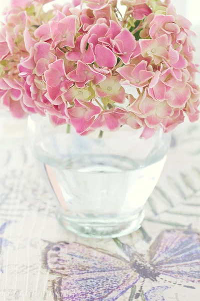 Розовые цветы Hydrangea — стоковое фото