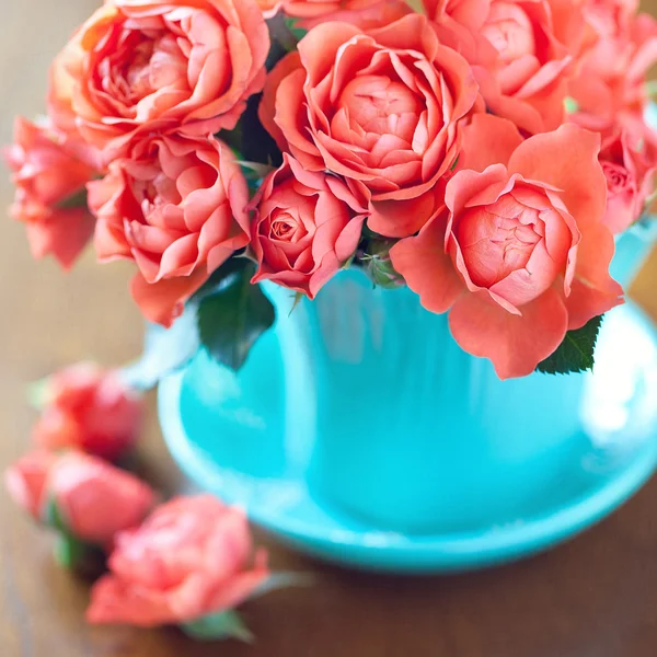 美丽的茶玫瑰 — 图库照片