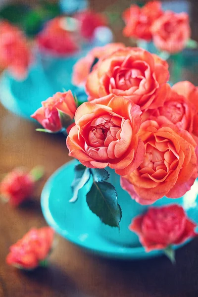 Beautiful fresh roses — Stock Photo, Image