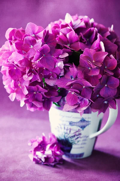 Hermosas flores de hortensias —  Fotos de Stock