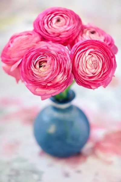 Rosa ranunculus blommor — Stockfoto