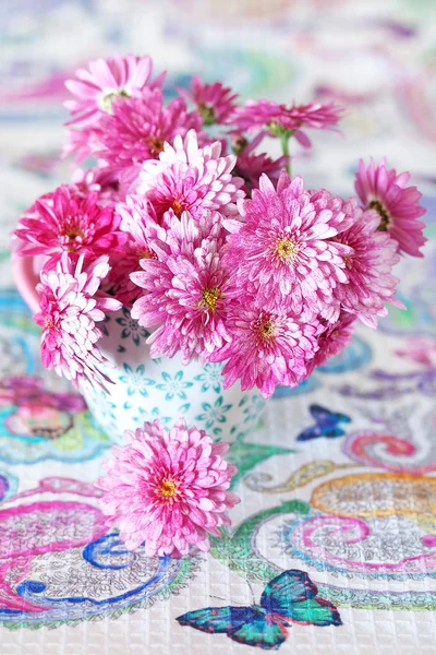 Fleurs de chrysanthème — Photo