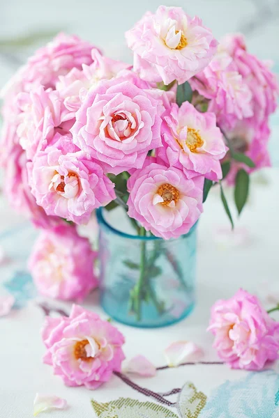 Prachtige roze rozen — Stockfoto