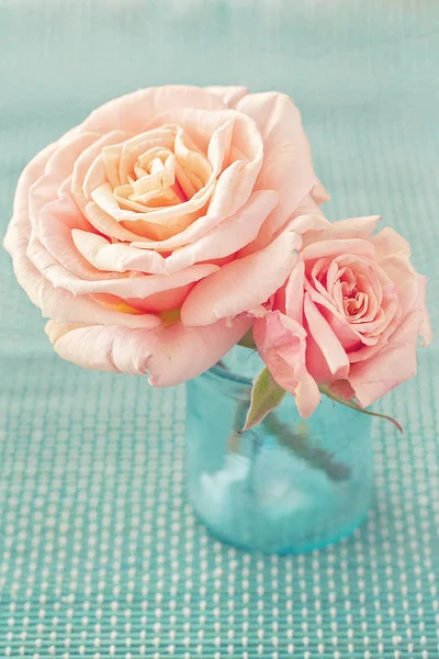 Delicate pink roses . — Stock Photo, Image