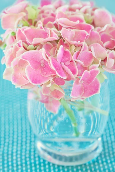 Roze hortensia bloemen — Stockfoto