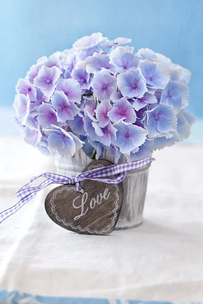 Purple hydrangea flowers — Stock Photo, Image