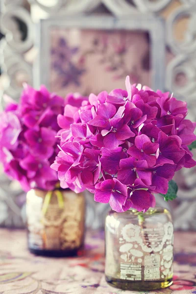 Hortensia bloemen — Stockfoto