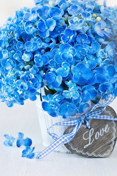 Blue hydrangea flowers — Stock Photo, Image