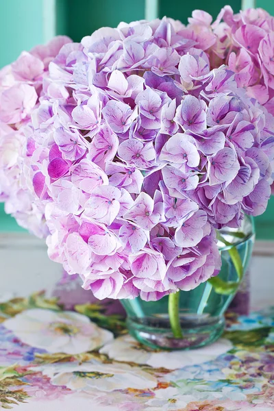 Beautiful  flowers — Stock Photo, Image