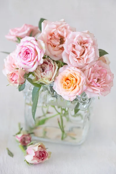微妙的粉红玫瑰 . — 图库照片