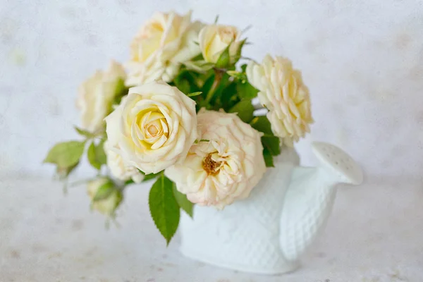 Hermosas rosas frescas de color crema — Foto de Stock