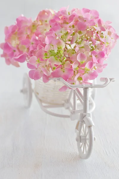 गुलाबी हायड्रेंजिया फुले — स्टॉक फोटो, इमेज