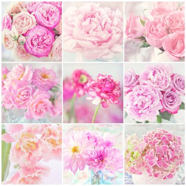 Pembe çiçek çiçeklenme