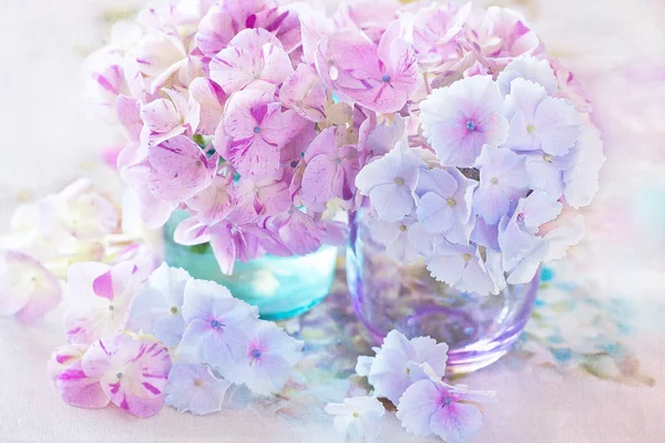 Hermosas flores de hortensias — Foto de Stock
