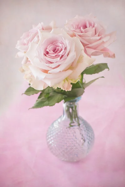 Delicate roze rozen — Stockfoto