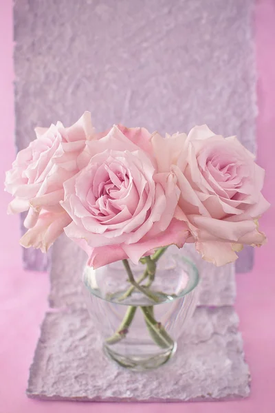 Piękne różowe kwiaty róży — Zdjęcie stockowe