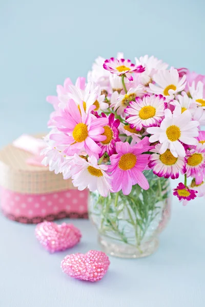 Květy sedmikrásky a dárek. — Stock fotografie