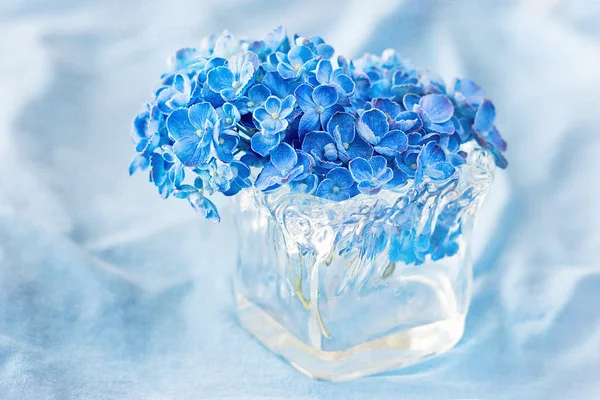 Blauwe hortensia bloemen. — Stockfoto