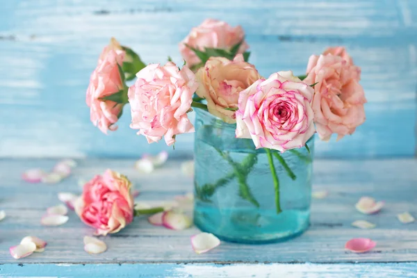 Rosa rosa delicata — Foto Stock