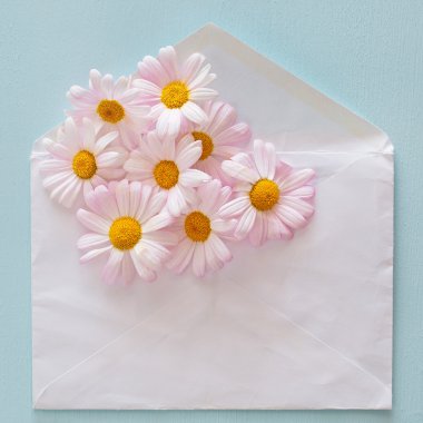 papatyalar bir kalp şeklinde