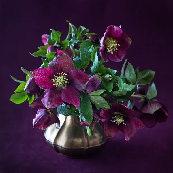 Ramo de flores púrpura — Foto de Stock