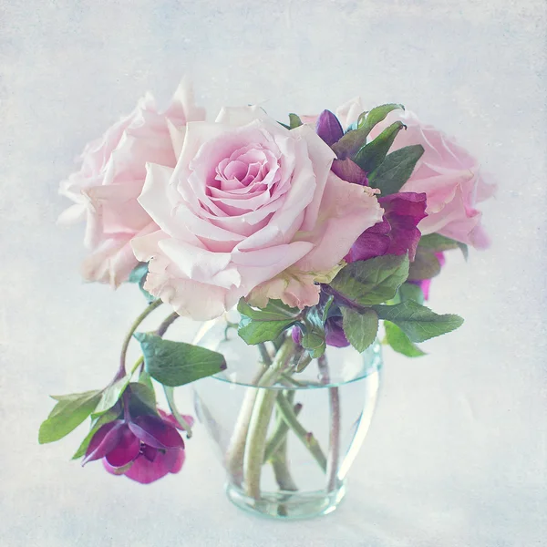 Piękne różowe kwiaty róży — Zdjęcie stockowe