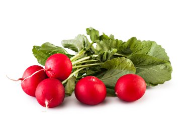 taze kırmızı turp