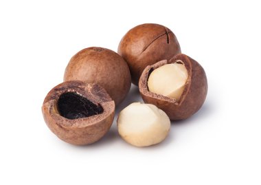 Beyaz arka planda Macadamia fındıkları