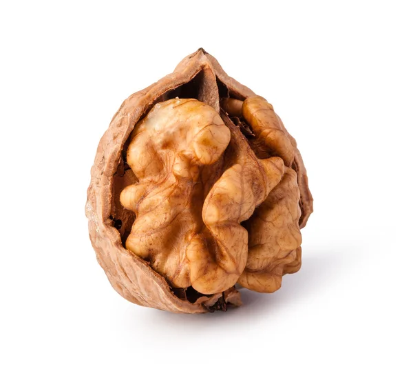 Nueces aisladas sobre fondo blanco — Foto de Stock