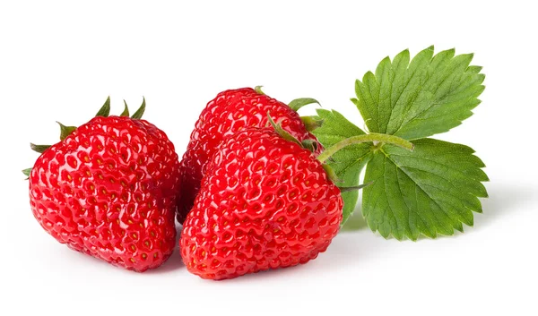 Erdbeeren mit Blättern. — Stockfoto