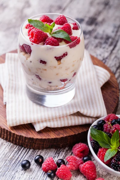 Yogurt with muesli and berries — Stock Photo, Image