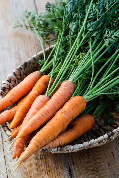 Ramo de zanahorias frescas — Foto de Stock