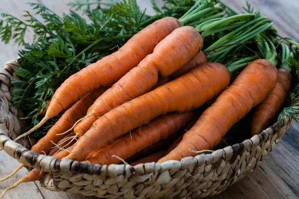 Grappolo di carote fresche — Foto Stock