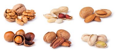 Beyaz bir arka plan üzerinde izole fındık toplama