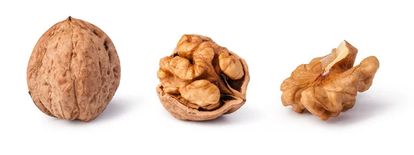 Nueces aisladas sobre fondo blanco —  Fotos de Stock