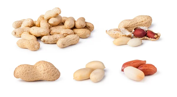 Peanuts isolated on a white background — Stock Photo, Image